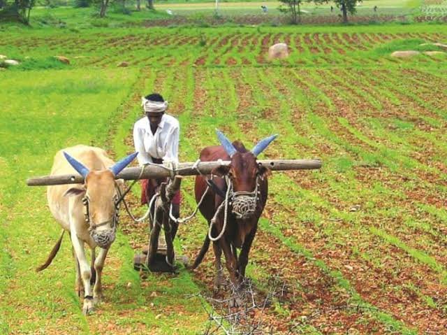 जळगाव जे डी सी सी बँकेचा चा भोंगळ कारभार? व्याज भरण्यास सक्ती करत असल्याने शेतकऱ्यांची तक्रार