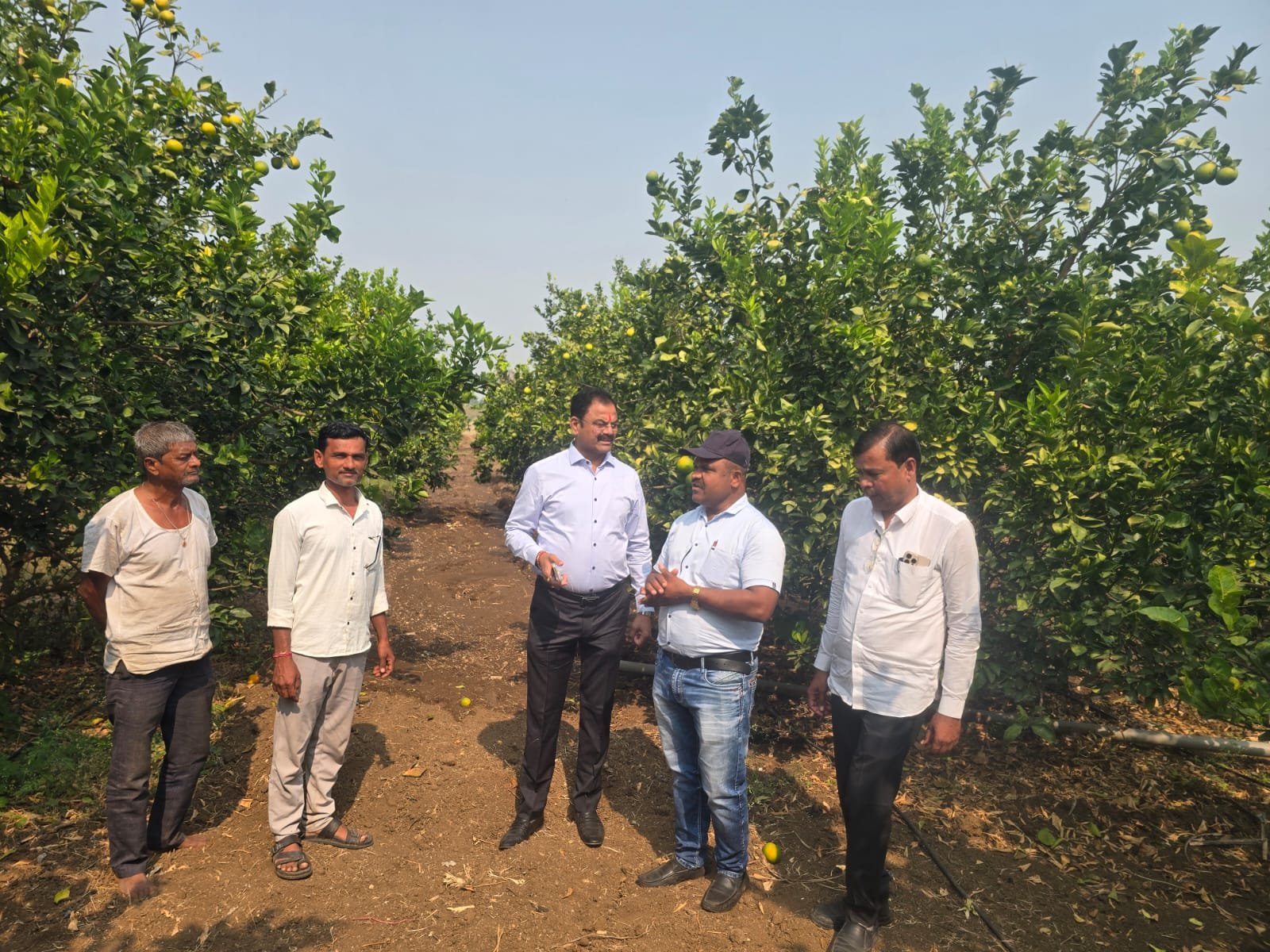 शेतकरी संघटनेचे अध्यक्ष सुनील पाटील यांच्या बागावर आमदार किशोर पाटील यांची अचानक भेट; मोसंबी-पपई बागेची केली पाहणी